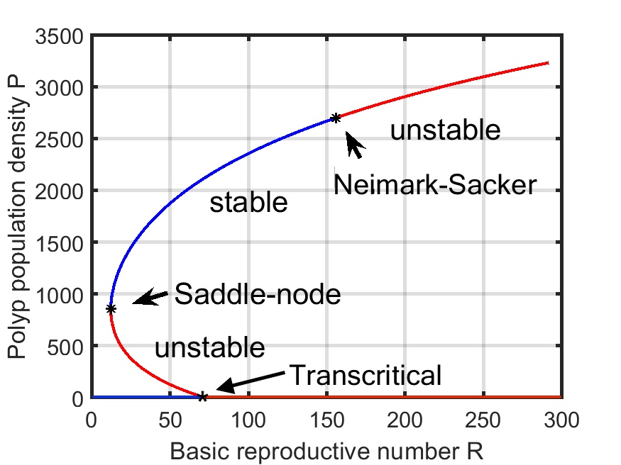 imgpub/075_bif_diagram4.jpg